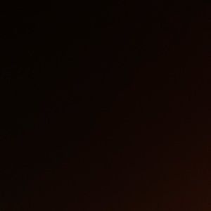 Meet your Posher, Marley